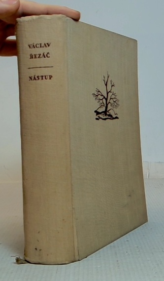 Nástup