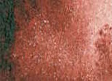 Akvarelová barva DS 15ml – 068 Permanent Brown
