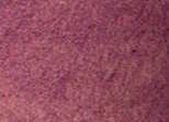 Akvarelová barva DS 15ml – 4032 Iridescent Ruby