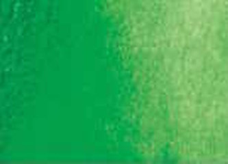 Akvarelová barva DS 15ml – 067 Permanent Green Light