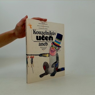 Kouzelníkův učeň aneb mnoho myší v jednom městě