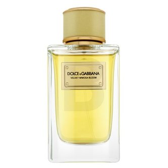 Dolce & Gabbana Velvet Mimosa Bloom parfémovaná voda pro ženy 150 ml