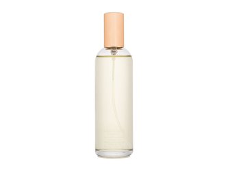 Nina Ricci L´Air Du Temps Toaletní voda 100 ml Náplň pro ženy