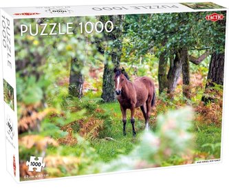 Puzzle 1000 elementów  Wild Horses, New Forest