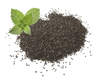 CHIA SEMÍNKA 300 g