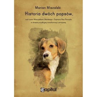 Historia dwóch popsów