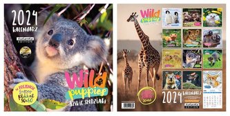Kalendarz 2024 ścienny Classic Wild Puppies