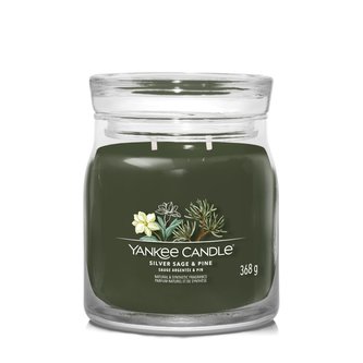 YANKEE CANDLE Silver Sage & Pine svíčka 368g /2 knoty (Signature střední)