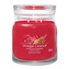 YANKEE CANDLE Sparkling Cinnamon svíčka 368g /2 knoty (Signature střední)