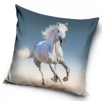 POVLAK NA POLŠTÁŘ KONĚ