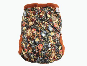 Kapsová plenka (M) - Ježek a přátelé PAT