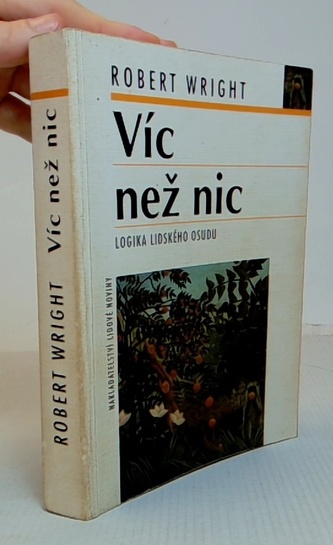 Víc než nic