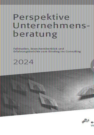Perspektive Unternehmensberatung 2024