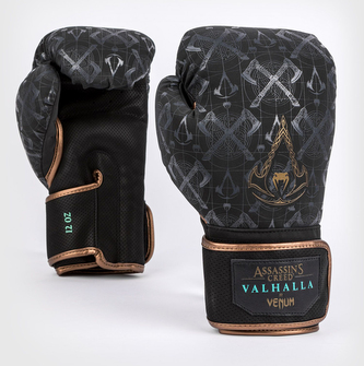 Boxerské rukavice Venum Assassin's Creed Reloaded černá 10oz