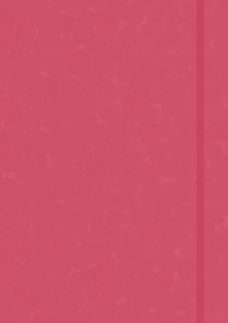 Anaconda Notizbuch / Notebook / Blankbook, punktiert, textiles Gummiband, pink, Hardcover (A5), 120g/m² Papier