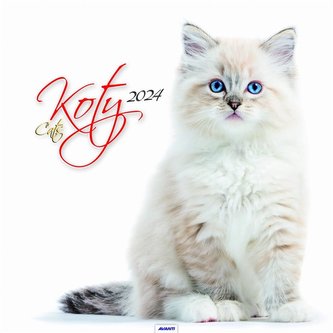 Kalendarz 2024 Ścieny Koty