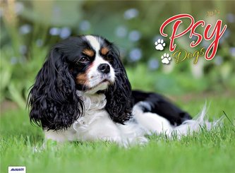 Kalendarz 2024 Ścieny Psy