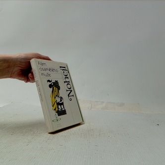 Flám osamělého muže