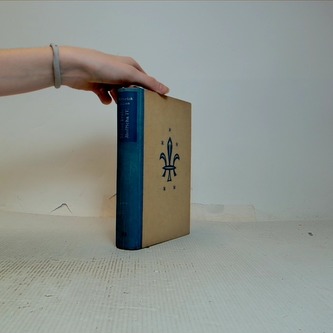 Mládí krále Jindřcha IV.