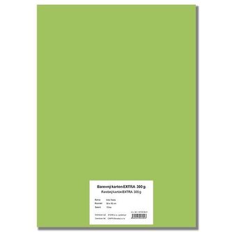 Barevný karton EXTRA 300g  50x70cm - světle zelený  10listů