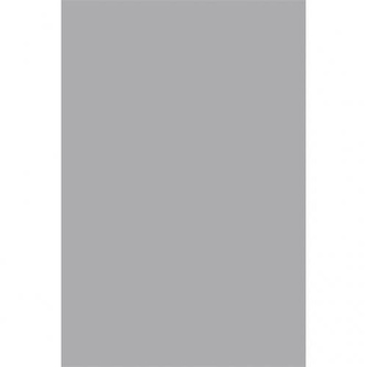 Plastový party ubrus stříbrný 137 x 274 cm