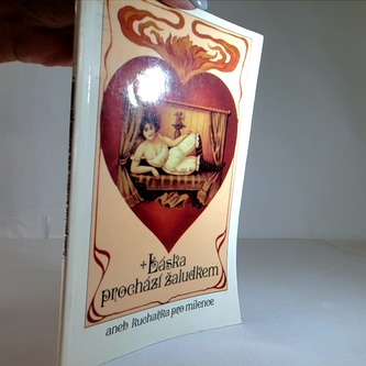 Láska prochází žaludkem aned kuchařka pro milence