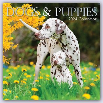 Dogs & Puppies - Hunde & Welpen 2024 - 16-Monatskalender