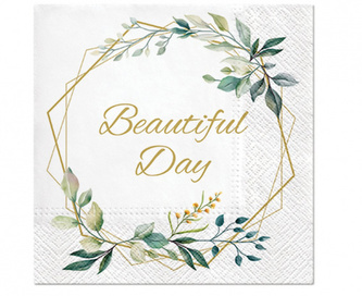 Papírové ubrousky Beautiful Day - Lístky a rám - 20 ks