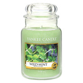 Yankee Candle Wild Mint Candle ( divoká máta ) - Vonná svíčka 411. ml unisex