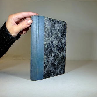 Bobři. Příhody malé indiánky a jejích bobříčků