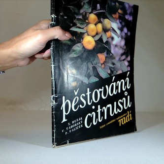 Pěstování citrusů