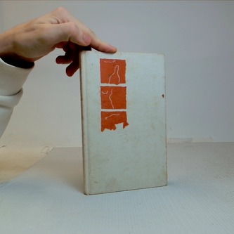 Má rozkošná Múza s hadrem v ruce