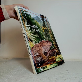 Po záhadných stopách