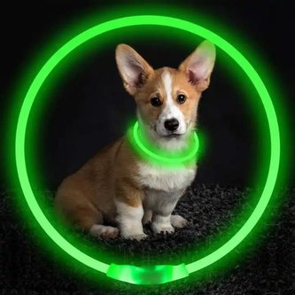 Reedog LED dobíjecí svítící obojek pro psy a kočky-zelená