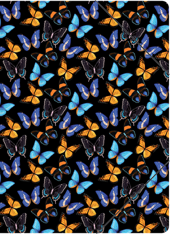 Složka na dokumenty A4 CEDON