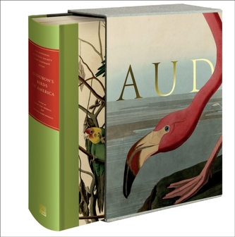 Audubon's Birds of America