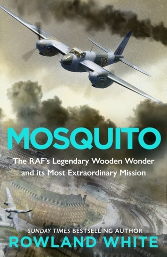 Mosquito Mosquito