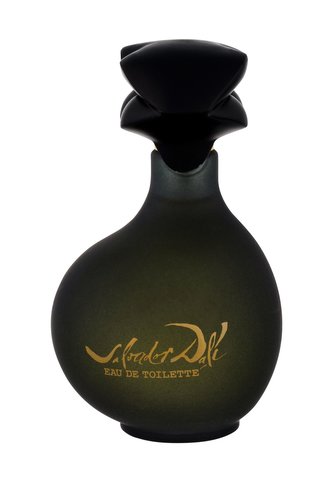 Salvador Dali Pour Homme Toaletní voda 100 ml pro muže
