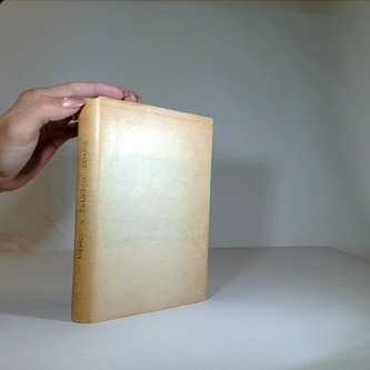 Němci v Českých zemích