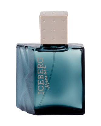 Iceberg Homme Toaletní voda 100 ml pro muže