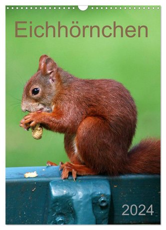 Eichhörnchen (Wandkalender 2024 DIN A3 hoch), CALVENDO Monatskalender