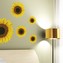 Crearreda Samolepicí dekorace WA M Sunflower 54106 Slunečnice