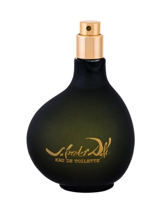 Salvador Dali Pour Homme Toaletní voda 100 ml pro muže Tester