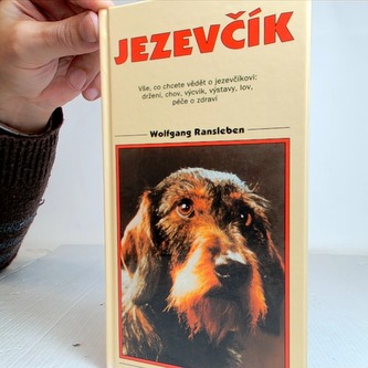 Jezevčík