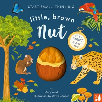 Little, Brown Nut Little, Brown Nut