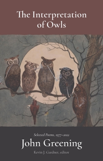 The Interpretation of Owls