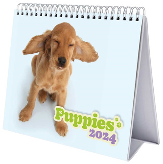 Oficiální stolní kalendář 2024: Štěňata (20 x 17 cm)