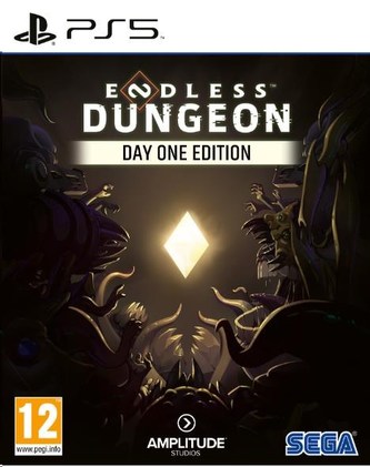 Endless Dungeon (PS5)