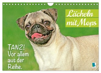 Lächeln mit Mops (Wandkalender 2024 DIN A4 quer), CALVENDO Monatskalender