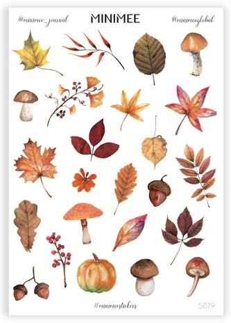 Podzimní listí a houby